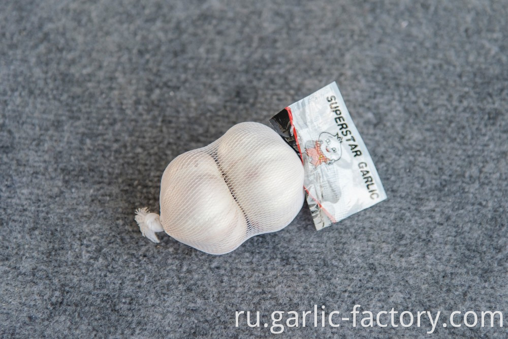 High quality fresh garlic new crop fresh garlic